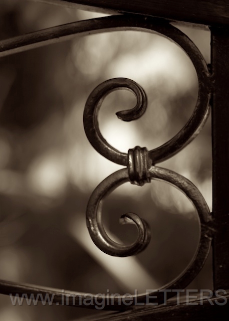 Wall_Art_Alphabet_Photography_Art_ 263.jpg